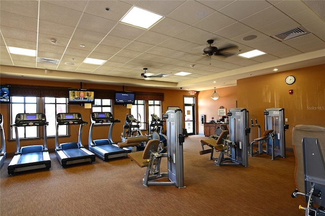 gym with ceiling fan, a paneled ceiling, and carpet floors