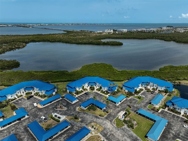 bird's eye view of a large body of water