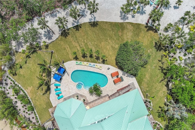 aerial view of a pool area