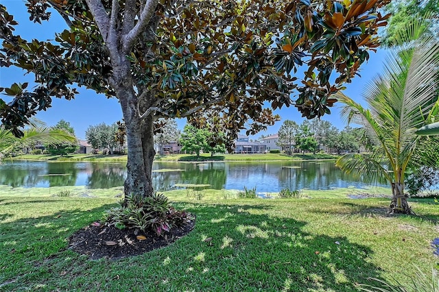 6539 Flycatcher Ln, Lakewood Ranch, FL 34202 - water view