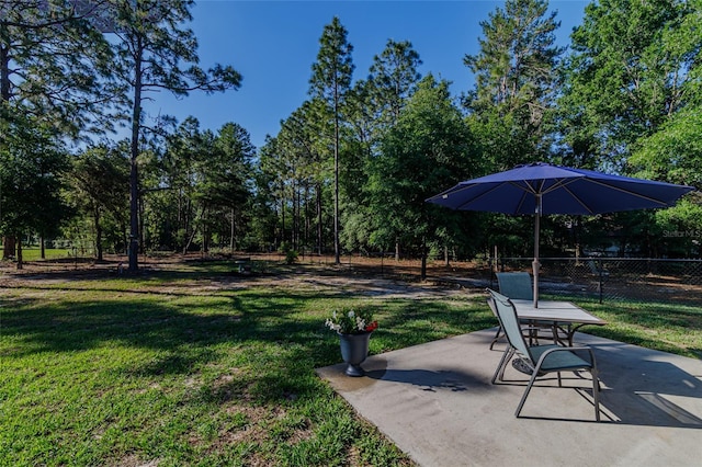 9085 SW 202nd Avenue Rd, Dunnellon, FL 34431 - view of yard with a patio