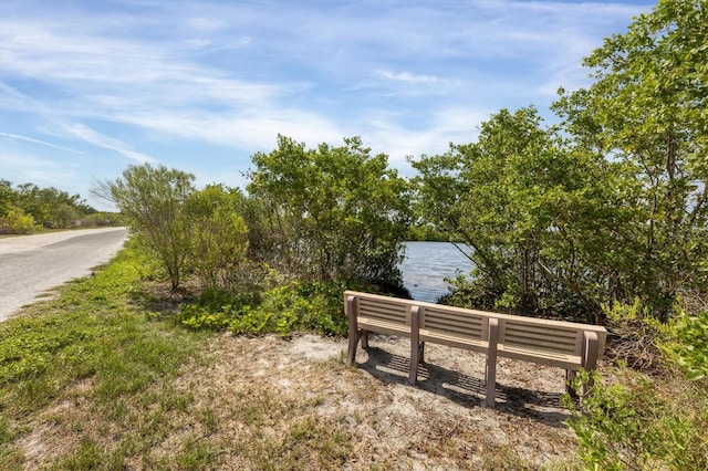 view of property's community with a water view