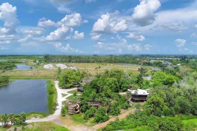 bird's eye view of a large body of water and a tree filled landscape