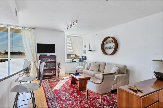 living room featuring wood finished floors and a textured ceiling
