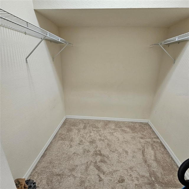8110 Villa Grande Ct, Sarasota, FL 34243 - spacious closet featuring carpet flooring