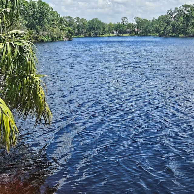 8110 Villa Grande Ct, Sarasota, FL 34243 - water view