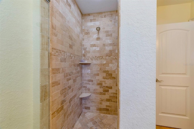 112 Palm Ave, Anna Maria, FL 34216 - bathroom with a textured wall and a tile shower