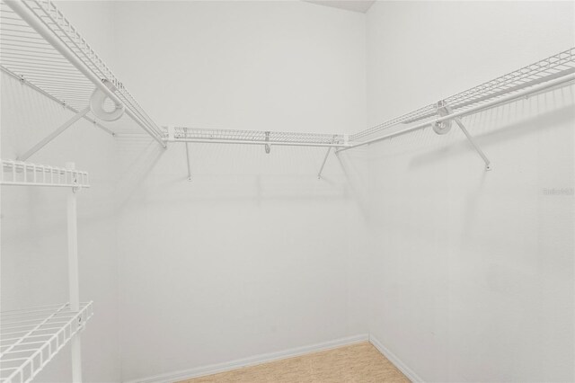 8118 Stirling Falls Cir, Sarasota, FL 34243 - walk in closet featuring light carpet