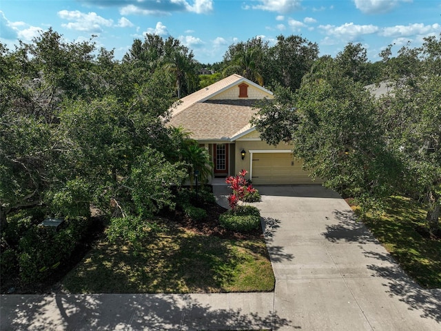 12149 Forest Park Cir, Bradenton, FL 34211 - obstructed view of property with driveway, a garage, and roof with shingles