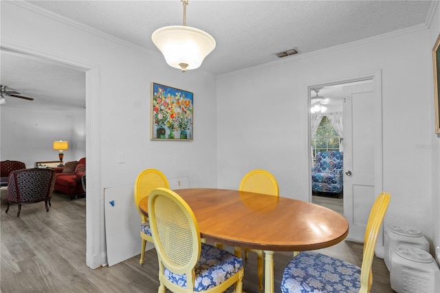 1110 27th Ave W, Bradenton, FL 34205 - photo 15