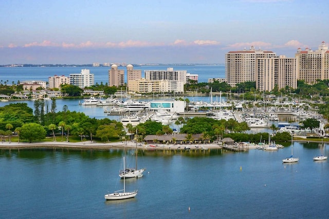 301 Quay Commons Unit 1711, Sarasota, FL 34236 - water view featuring nearby urban area