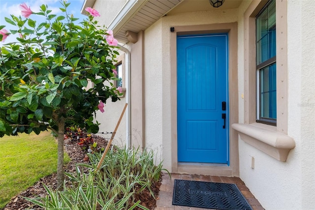 view of exterior entry with stucco siding
