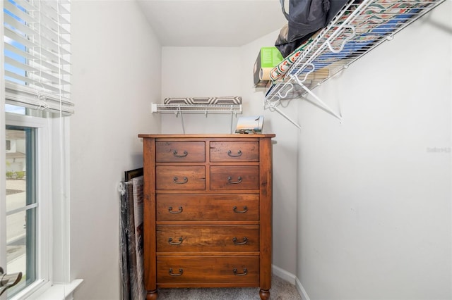 spacious closet with carpet flooring