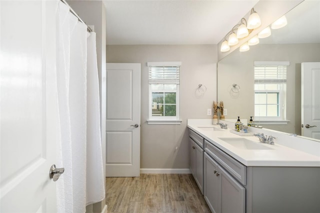bathroom with baseboards, plenty of natural light, double vanity, and wood finished floors