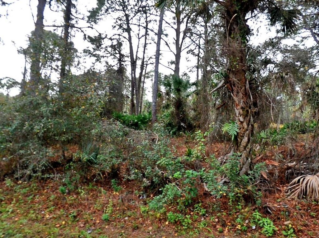 Lady Slipper Ave, North Port, FL 34291