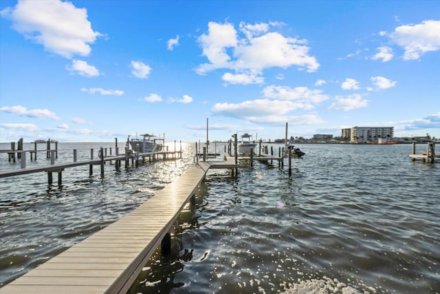 2438 Baywood Dr W, Dunedin, FL 34698 - photo 50