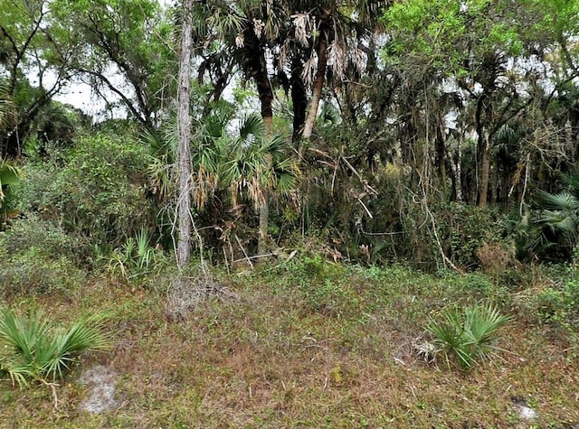 Hurdle Rd, North Port, FL 34291