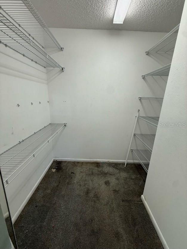 1304 56th St W Unit 1304, Bradenton, FL 34209 - walk in closet featuring carpet floors