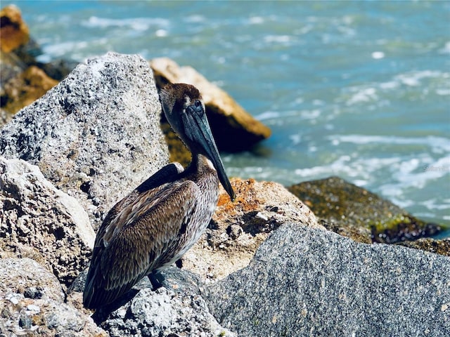 Pops Ln, Nokomis, FL 34275