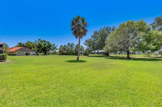 6462 Draw Ln Unit 72, Sarasota, FL 34238 - view of grassy yard
