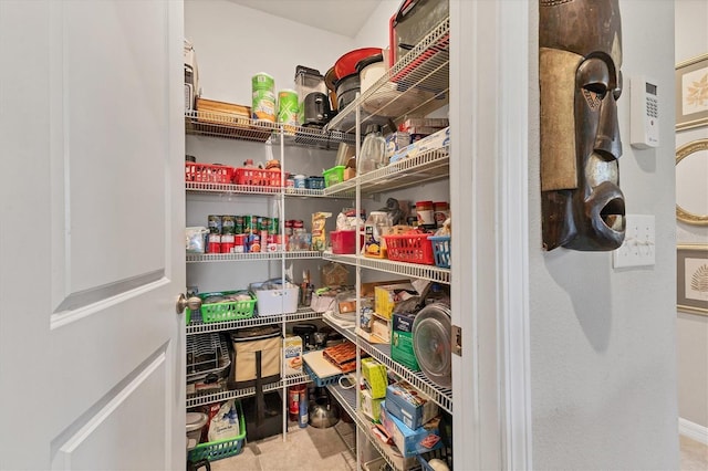 5033 Brickwood Rise Dr, Wimauma, FL 33598 - view of pantry