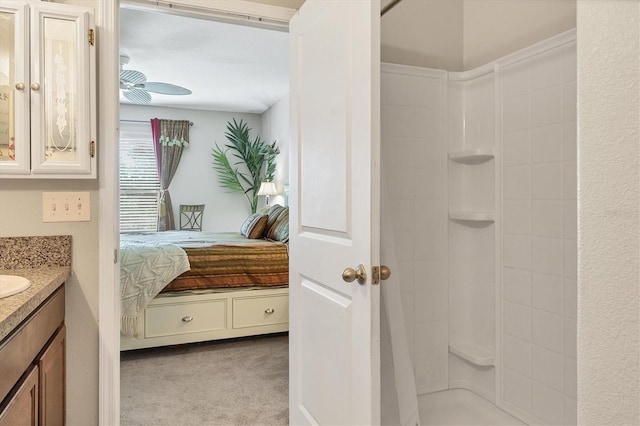 5033 Brickwood Rise Dr, Wimauma, FL 33598 - ensuite bathroom with a shower and vanity