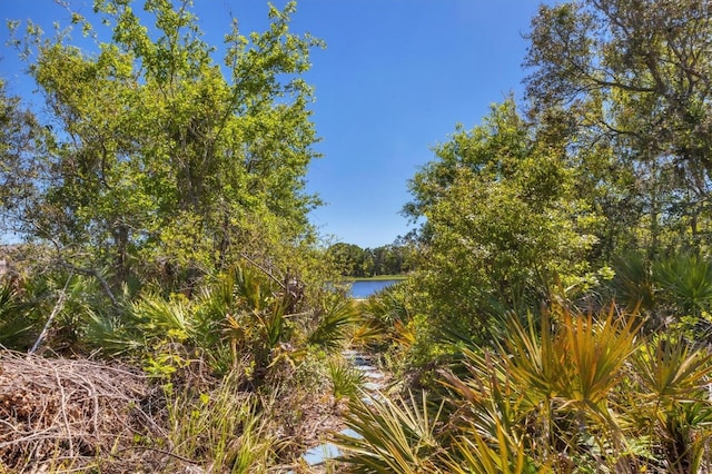 5033 Brickwood Rise Dr, Wimauma, FL 33598 - water view