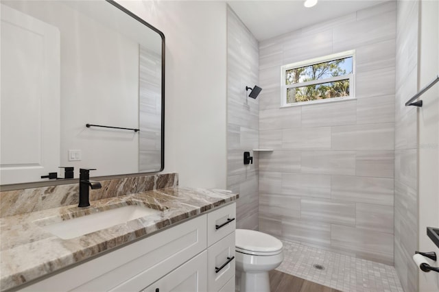 2704 Gaspar Ave, North Port, FL 34288 - bathroom with a tile shower, toilet, and vanity