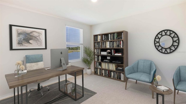 12036 Lansing Gln, Parrish, FL 34219 - office with carpet and baseboards