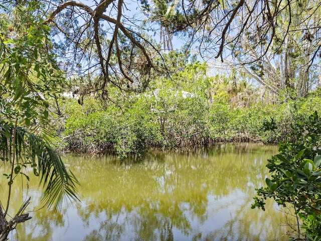 7320 Melaleuca Way, Siesta Key, FL 34242 - water view