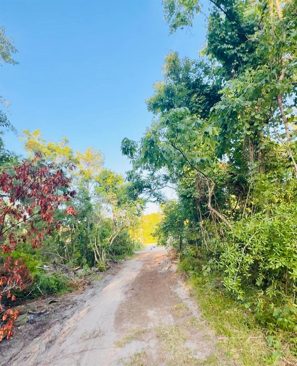 Webb St, New Port Richey, FL 34654