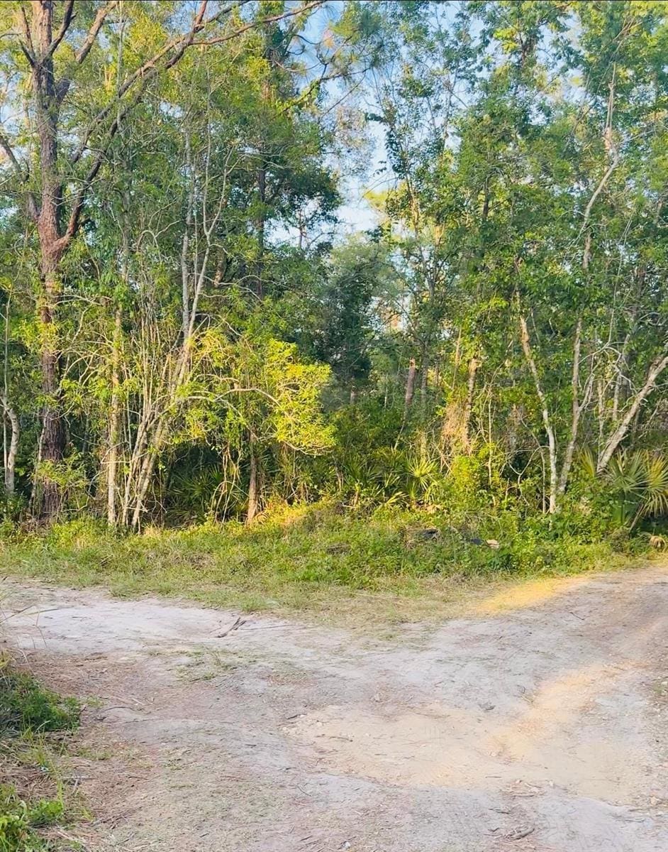 Webb St, New Port Richey, FL 34654