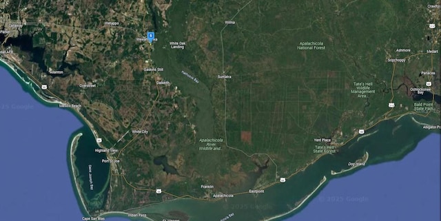 391 Jim Rish St, Wewahitchka, FL 32465