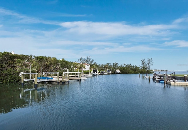 dock area featuring boat lift and a water view