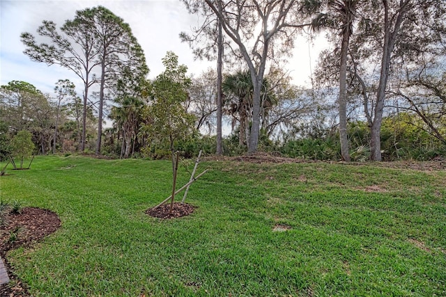 12091 Firewheel Pl, Venice, FL 34293 - view of grassy yard