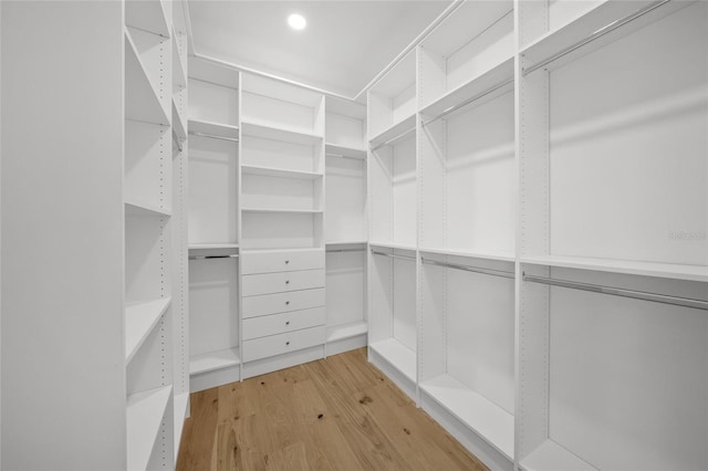 4726 Rivetta Ct, Sarasota, FL 34231 - walk in closet featuring wood finished floors