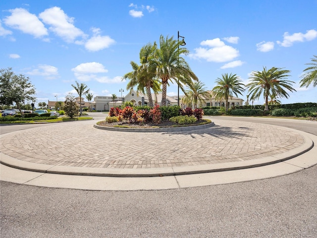 view of street with curbs