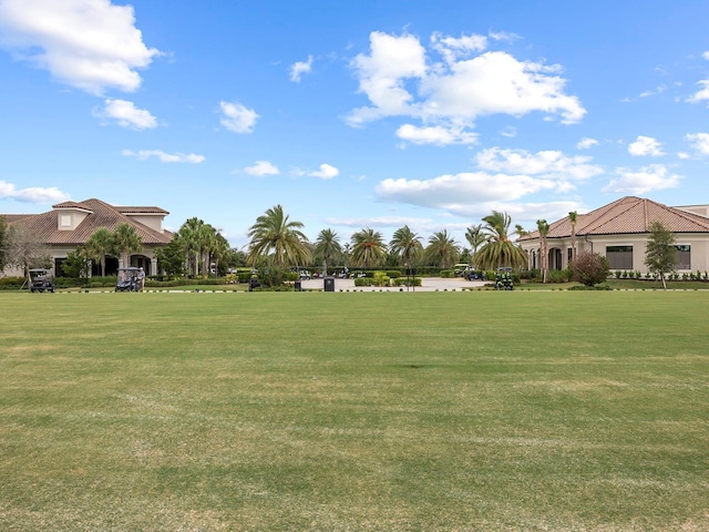 view of green lawn