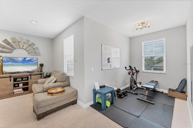 1017 Fernleaf Run, Bradenton, FL 34212 - workout room featuring carpet and baseboards