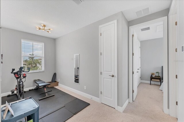 1017 Fernleaf Run, Bradenton, FL 34212 - workout area with light colored carpet and baseboards