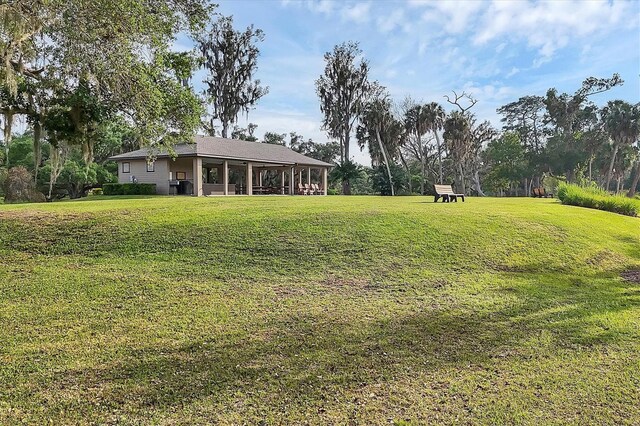 1017 Fernleaf Run, Bradenton, FL 34212 - view of green lawn
