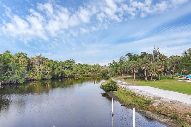 1017 Fernleaf Run, Bradenton, FL 34212 - water view
