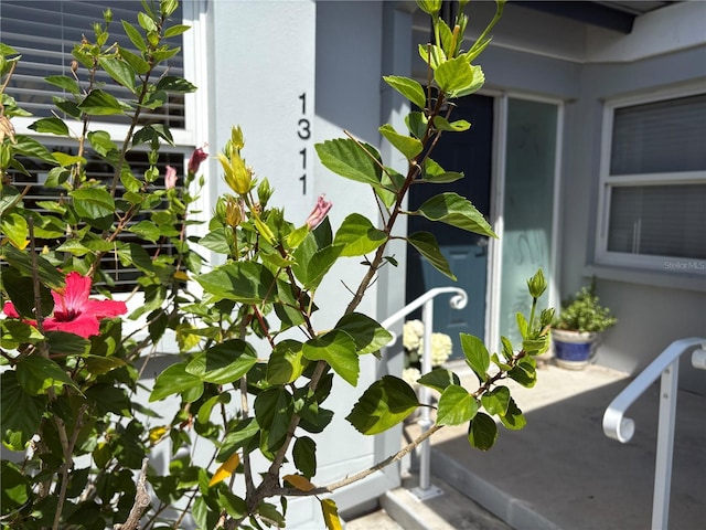 1311 Siesta Bayside Dr Unit 1311-A, Sarasota, FL 34242 - exterior view of stucco siding