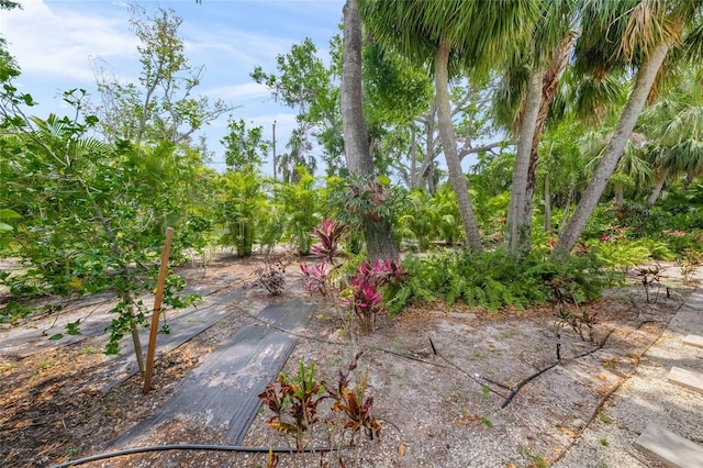 924 Indian Beach Dr, Sarasota, FL 34234 - photo 33