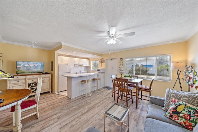 475 Benjamin Franklin Dr Unit 211, Sarasota, FL 34236 - living area with light wood-type flooring, a ceiling fan, a textured ceiling, ornamental molding, and baseboards