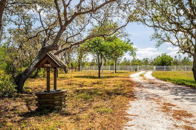 10001 289th St E, Myakka City, FL 34251 - view of dirt / gravel road with a rural view
