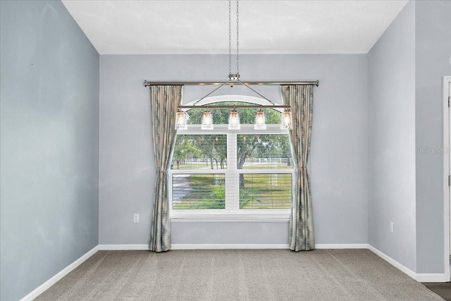 10001 289th St E, Myakka City, FL 34251 - carpeted empty room featuring a chandelier and baseboards