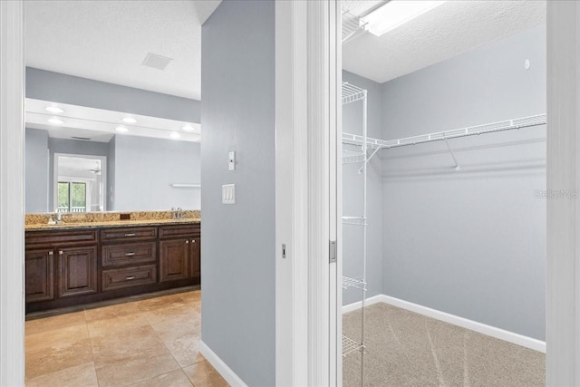 10001 289th St E, Myakka City, FL 34251 - bathroom with double vanity and a spacious closet