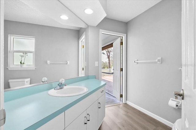 10001 289th St E, Myakka City, FL 34251 - bathroom with wood finished floors, vanity, and recessed lighting