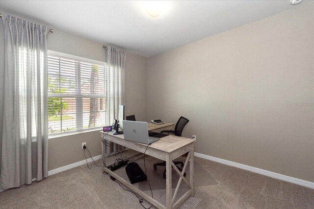 2241 Pigeon Plum Way N, Fort Myers, FL 33917 - photo 20